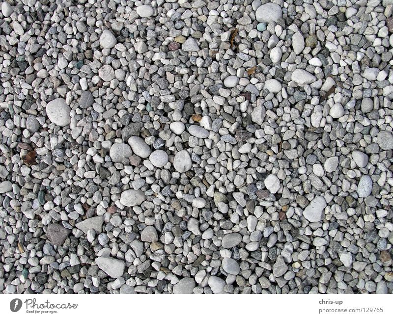 Gravel Texture Pebble Background picture Structures and shapes Grain Grain of sand Round White Brown Gray Black Beach Stone floor Earth Sand