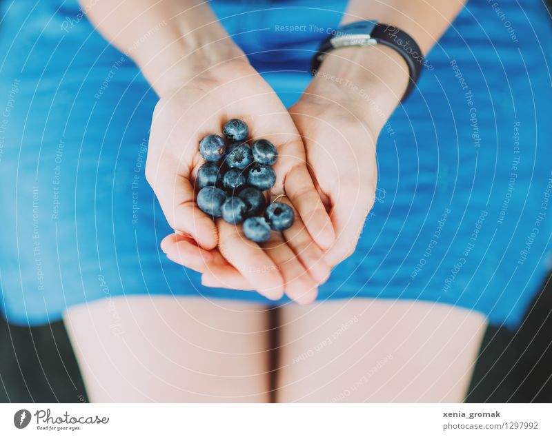 blueberries Food Fruit Nutrition Organic produce Vegetarian diet Diet Healthy Medical treatment Healthy Eating Athletic Fitness Wellness Life Harmonious