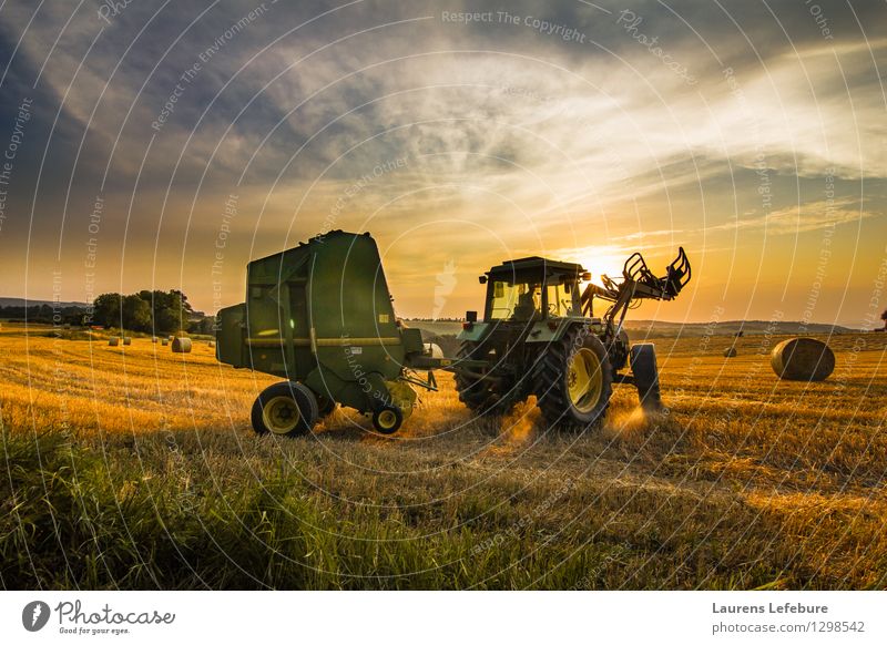 Farmer harvesting hay Harvest Hay Hay bale Agriculture Forestry Tractor 1 Human being 45 - 60 years Adults Landscape Agricultural crop Business Experience