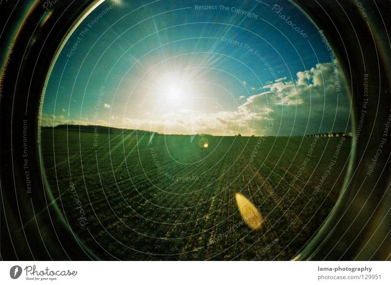 blinded by the light Sun Sunbeam Summer Field Agriculture Dazzle Light Back-light Fisheye Round Snapshot Wide angle Analog Nature Panorama (View) Sky Blue sky
