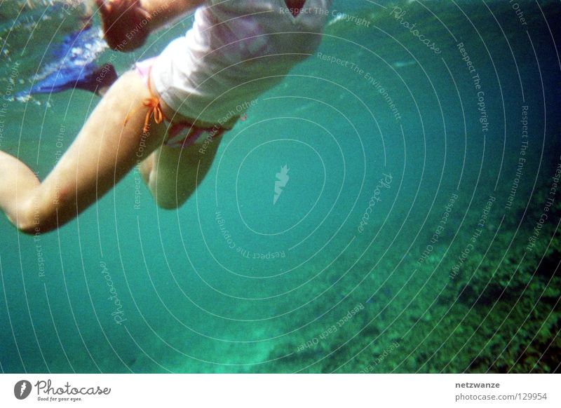 like a sea turtle Snorkeling Seychelles Nixie (Water Spirit) Aquatics Underwater photo Scan Kodak disposable cam iso 800