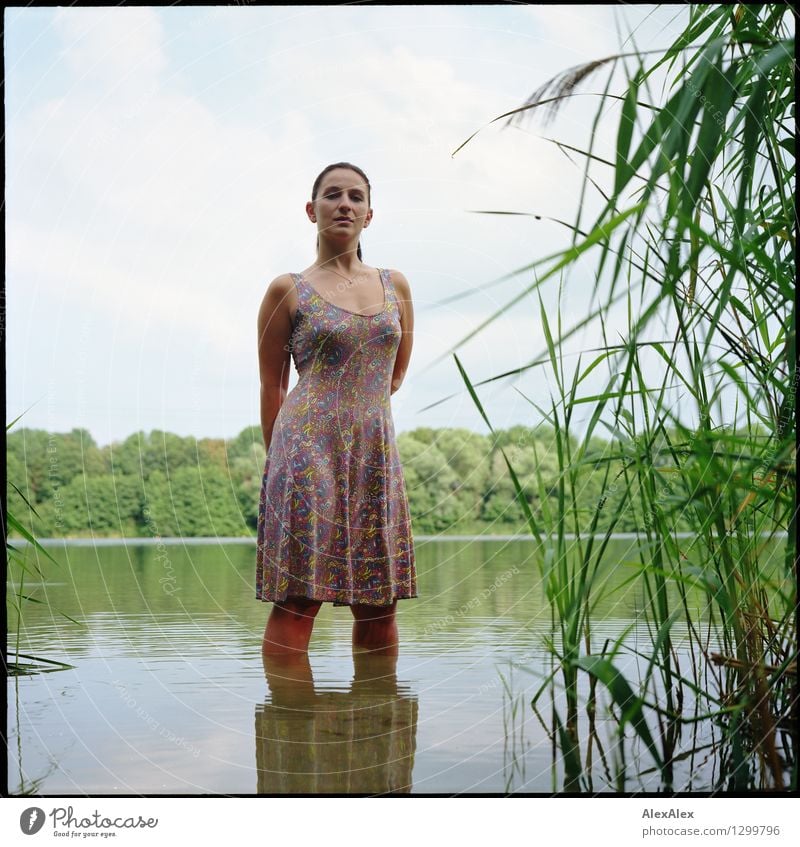 mermaid Swimming & Bathing Trip Young woman Youth (Young adults) 18 - 30 years Adults Nature Landscape Plant Water Sky Beautiful weather Common Reed Tree Lake