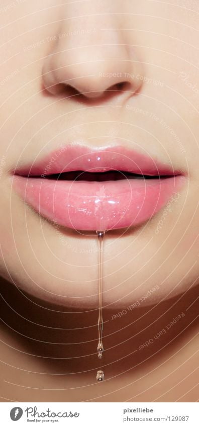 The Water Nixie Elegant Beautiful Skin Face Woman Adults Nose Mouth Lips Drops of water Glittering Authentic Eroticism Fluid Wet Natural Pink White Romance