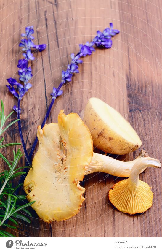 golden chanterelle mushrooms with herbal spices Food Herbs and spices Nutrition Yellow chantarelle healthy natural fresh organic tasty vegetable ingredient