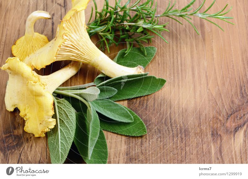 golden chanterelle mushrooms with sage and rosemary Food Herbs and spices Mushroom Organic produce Vegetarian diet Yellow chantarelle say healthy natural fresh