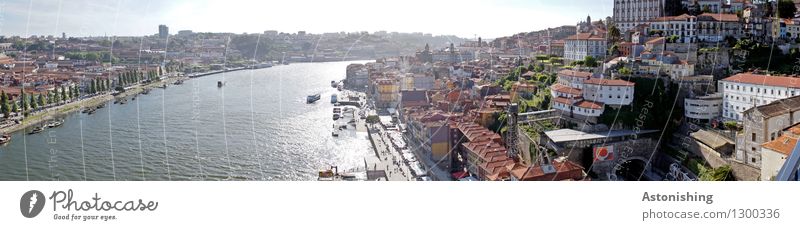 Porto V Environment Sky Horizon Summer Weather Beautiful weather Warmth Tree River Rio Douro Portugal Town Capital city Downtown Old town