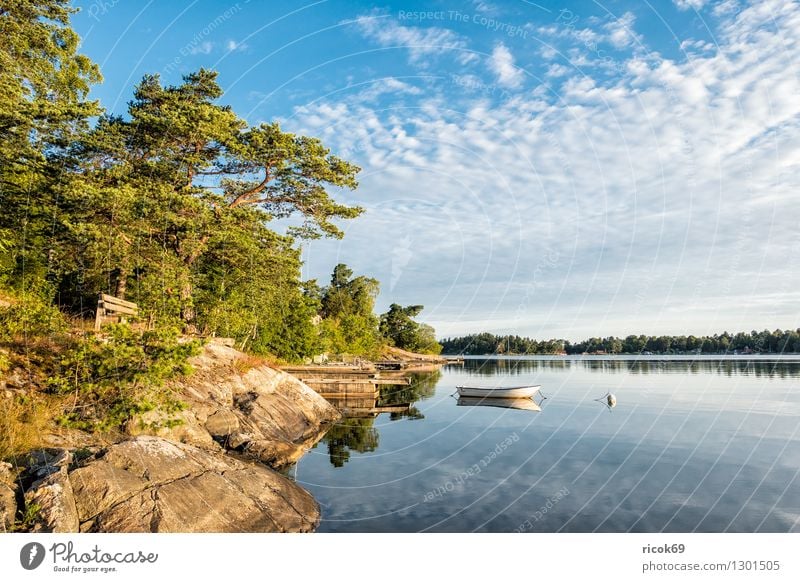 Archipelago on the Swedish coast Relaxation Vacation & Travel Tourism Island Nature Landscape Clouds Tree Forest Coast Baltic Sea Watercraft Blue Green Skerry