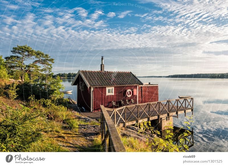 Archipelago on the Swedish coast Relaxation Vacation & Travel Tourism Island Nature Landscape Clouds Tree Coast Baltic Sea Blue Green Skerry Swede Wooden house