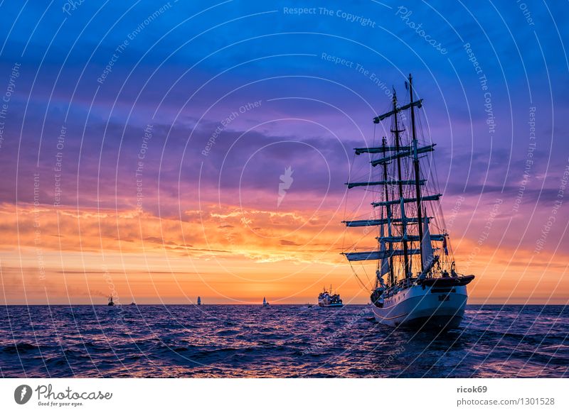 Sailing ships at the Hanse Sail Relaxation Vacation & Travel Tourism Water Clouds Baltic Sea Navigation Maritime Yellow Red Romance Idyll Tradition Windjammer