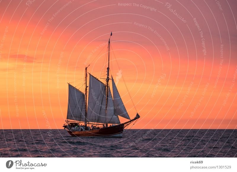 Sailing ship at the Hanse Sail Relaxation Vacation & Travel Tourism Water Clouds Baltic Sea Navigation Maritime Yellow Red Romance Idyll Tradition Windjammer