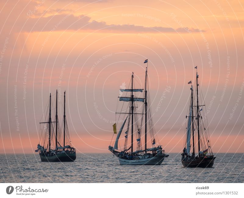 Sailing ships at the Hanse Sail Relaxation Vacation & Travel Tourism Water Clouds Baltic Sea Navigation Maritime Yellow Red Romance Idyll Nature Tradition