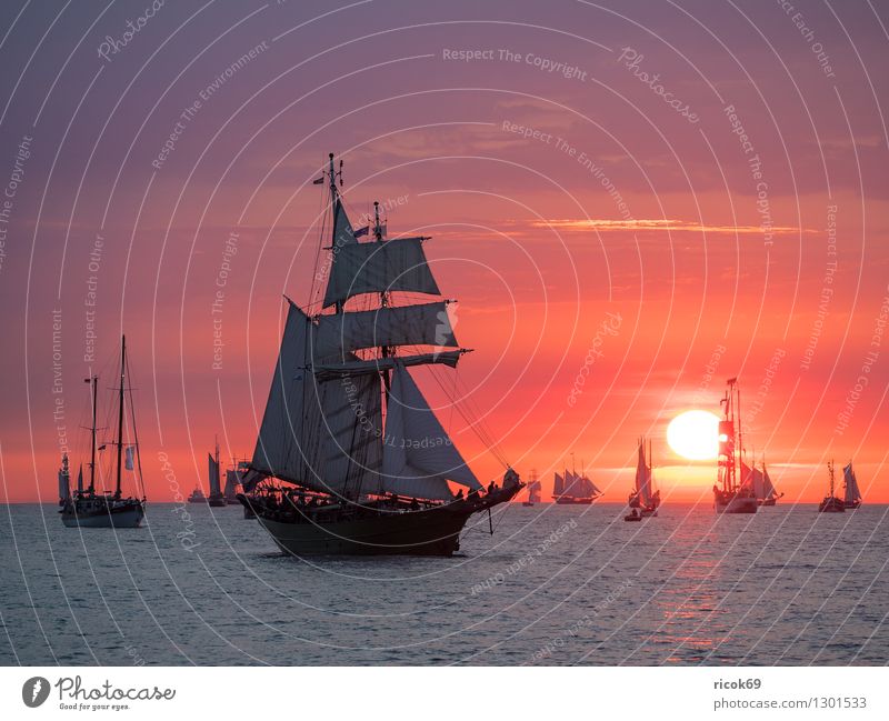 Sailing ships at the Hanse Sail Relaxation Vacation & Travel Tourism Water Clouds Baltic Sea Navigation Maritime Yellow Red Romance Idyll Tradition Windjammer