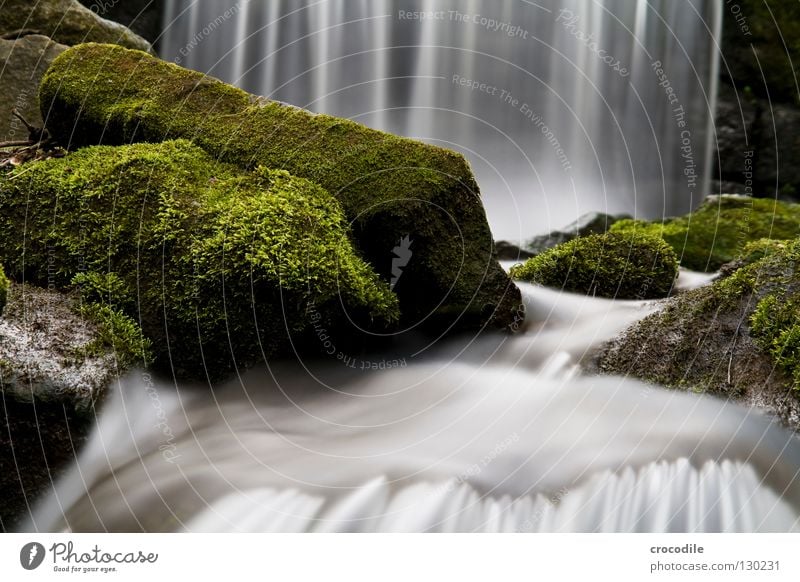 curtain of water Brook Water Overgrown Forest Fog Wet Gravity Green Dark Long exposure Flow River To fall Waterfall Rock Stone Nature Abstract Exterior shot