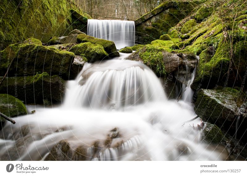 waterfall Brook Water Overgrown Forest Fog Wet Gravity Green Dark Long exposure Flow River To fall Waterfall Rock Stone Nature Abstract Exterior shot