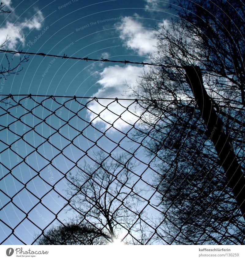 transparency Clouds Fence Barbed wire Sunbeam White Tree Vista Sky Blue