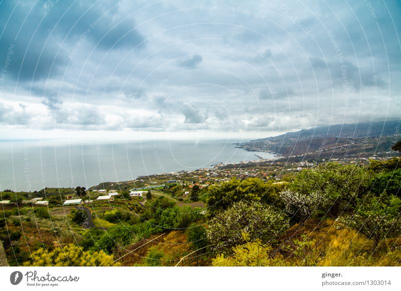 La Palma - View of Santa Cruz de La Palma Environment Nature Landscape Plant Earth Air Water Sky Clouds Horizon Spring Climate Weather Fog Tree Bushes Rock Bay