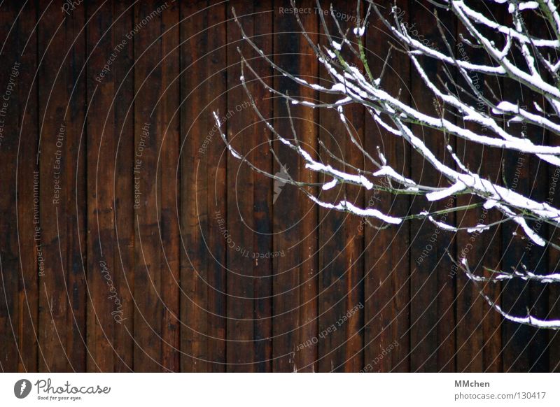 In front of the board wall Wood Wooden wall Snow Boredom Vertical Winter Wooden hut Wooden house Hut Brown White Wooden board Branch Twig woodworm