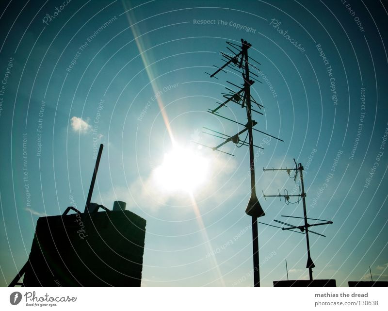 sun worshippers Roof House (Residential Structure) Building Antenna Waves Frequency Branched Radio technology Radio waves Aspire Exhaust gas Air Heat Summer