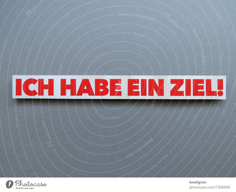 I HAVE A GOAL! Characters Signs and labeling Communicate Sharp-edged Gray Red White Emotions Moody Success Power Willpower Brave Determination Diligent