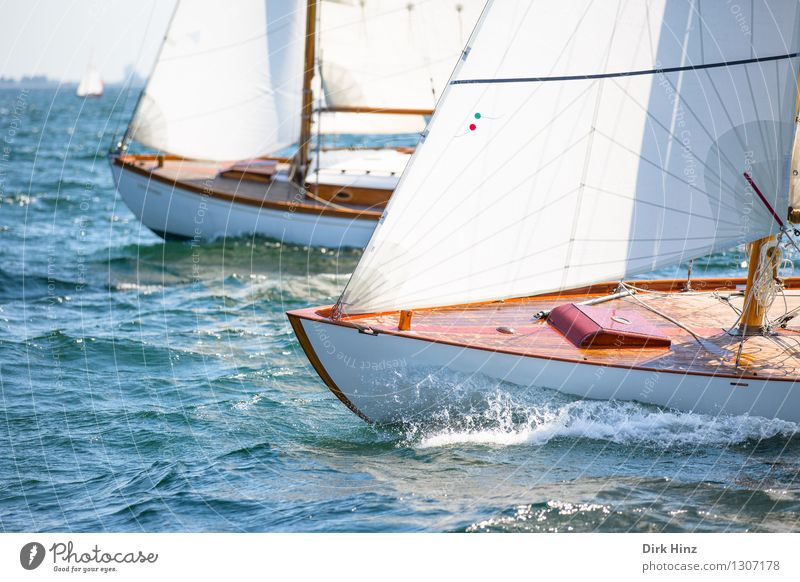 Maritime Race Sailing Yacht Esthetic Elegant Far-off places Infinity Blue Brown Movement Energy Relaxation Experience Vacation & Travel Freedom