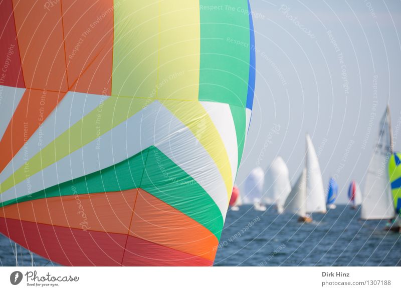 Colorful Spinnaker Sailing Yacht Happiness Fresh Large Infinity Maritime Blue Green Orange Freedom Leisure and hobbies Hope Horizon Optimism Tourism