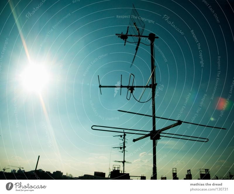 sun worshippers Roof House (Residential Structure) Building Antenna Waves Frequency Branched Radio technology Radio waves Aspire Exhaust gas Air Heat Summer