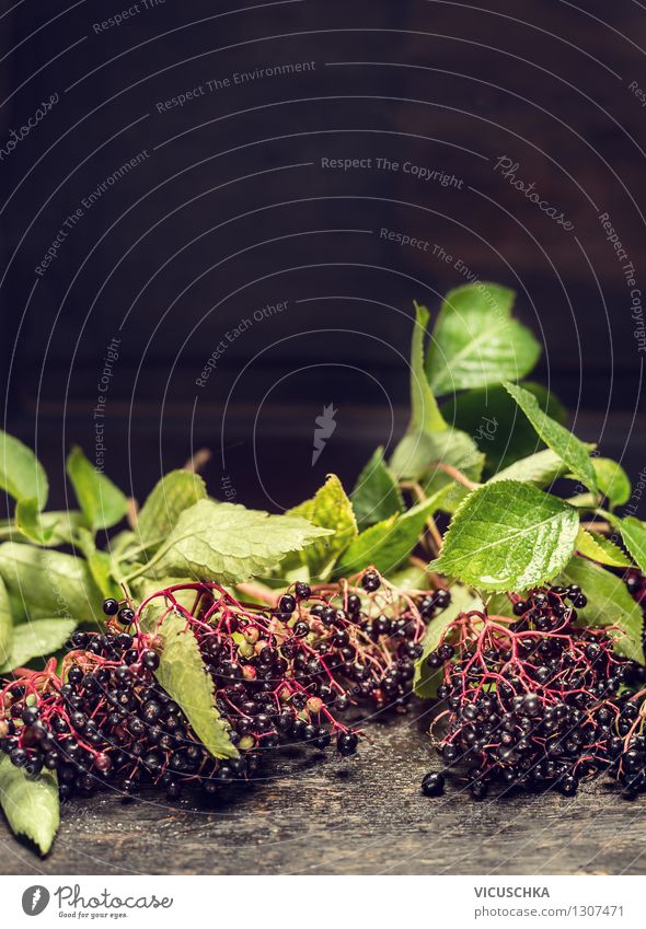 Elderberry bundles with green leaves and berries Food Fruit Candy Nutrition Style Design Alternative medicine Healthy Eating Life Garden Table Plant Bushes