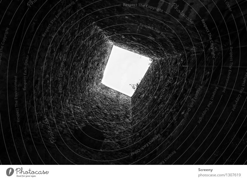 high up Castle Ruin Tower Dark Bright Tall Black White Building stone Wall (barrier) Shaft of light Calm Black & white photo Interior shot Deserted Day Shadow