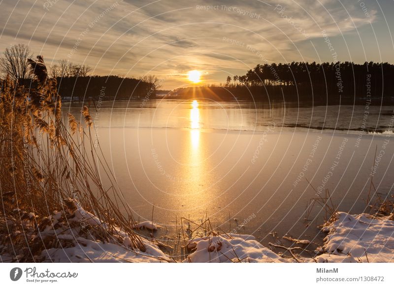 Winter sun at the lake Well-being Contentment Relaxation Calm Far-off places Freedom Sun Snow Winter vacation Nature Landscape Water Sky Clouds Horizon Sunrise