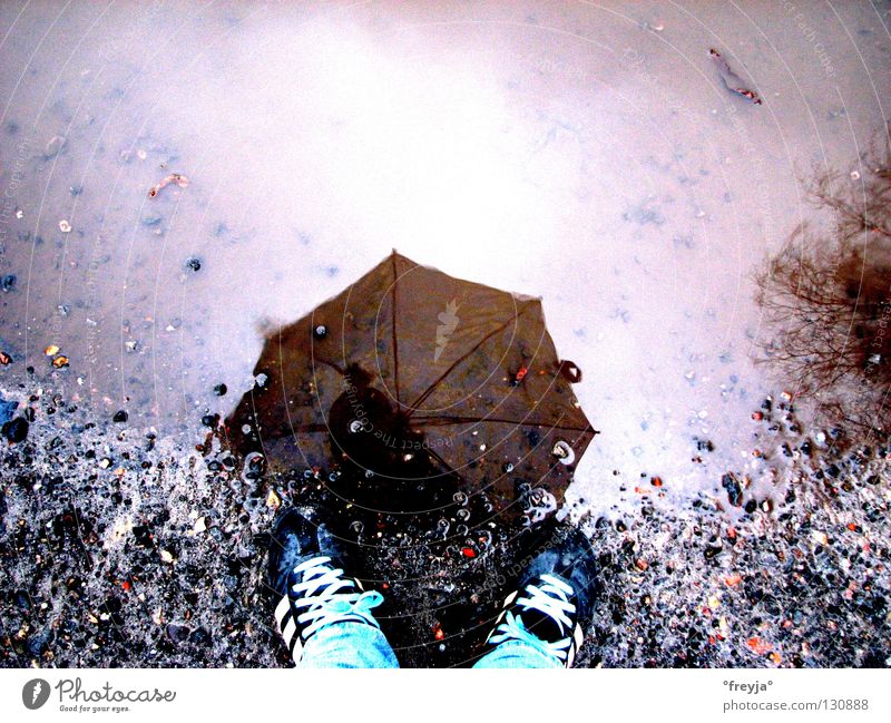 Don't leave me standing in the rain. Umbrella Footwear Puddle Wet Reflection Rain Duck screen Sportswear Sneakers