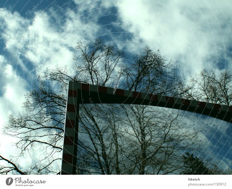 illusion Mirror Mirror image Rear view mirror Clouds Tree Sky Street sign distorting mirror Reflection