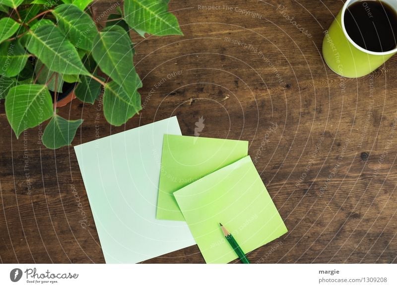 Green slip of paper with pen, a cup of coffee and a potted plant Hot drink Coffee Cup Desk Work and employment Office work Workplace Plant Flower Leaf