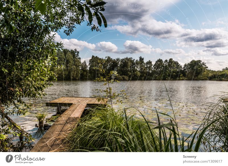 Footbridge at the lake #2 Nature Landscape Plant Water Sky Clouds Summer Beautiful weather Tree Grass Bushes Lakeside Relaxation Serene Calm Idyll Colour photo