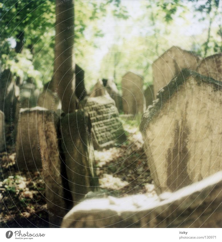 Jewish Cemetery Prague Judaism Light Tomb Grave Tombstone Grief Distress Sun