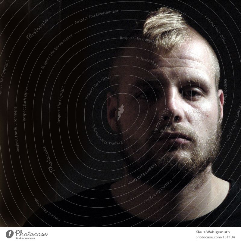 Young man with beard and punk hairstyle is lit from the side and looks seriously into the camera Man Light Facial hair portrait Forehead Vertical Threat Shaven