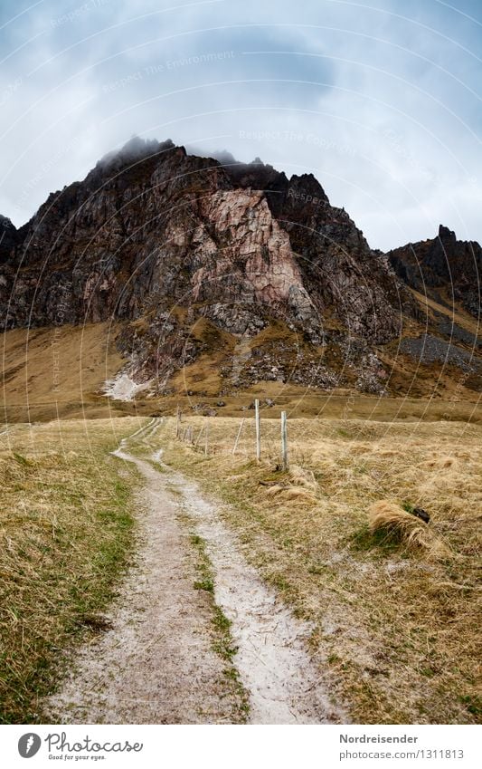 Vesterålen.... Vacation & Travel Trip Far-off places Freedom Hiking Nature Landscape Elements Sky Clouds Climate Bad weather Grass Rock Mountain Lanes & trails