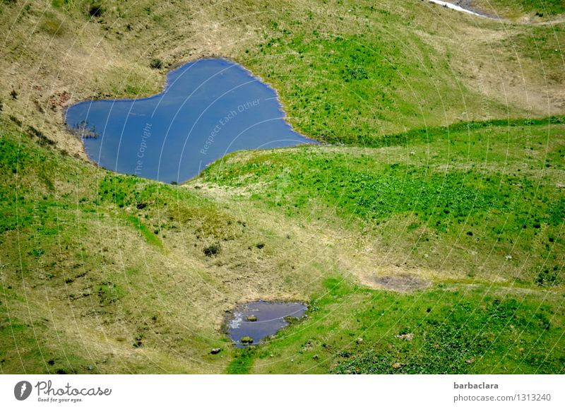 Elixir of life | clear mountain water Vacation & Travel Mountain Nature Landscape Elements Earth Water Climate Meadow Alps Lake Mountain lake Heart Fresh Cold