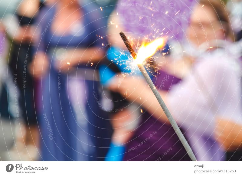 gleam Event Party Feasts & Celebrations Decoration Candle Kitsch Odds and ends Sparkler Exceptional Violet Glittering Flame Colour photo Exterior shot Close-up