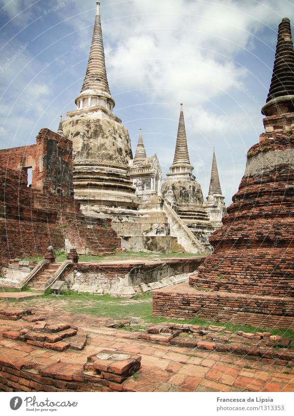 Wat Phra Si Sanphet Adventure Far-off places Sightseeing Expedition Summer Sun Architecture Garden Ayutthaya Thailand South East Asia Old town Deserted Ruin