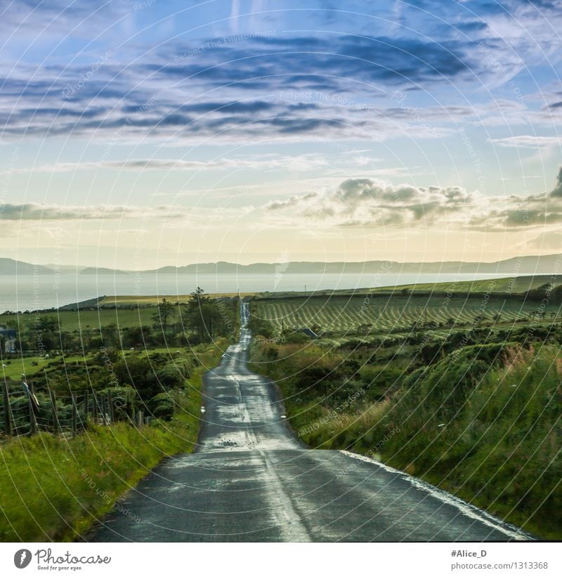 It's a long way to go Environment Nature Landscape Sky Clouds Climate Weather Rain Grass Bushes Wild plant Meadow Field Hill Coast Scotland Highlands Europe