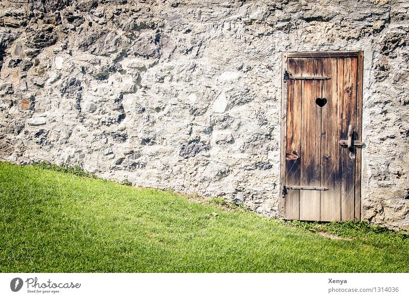 Wooden door Silent place Wall Stone Brown Gray Green Grass Stone wall Toilet Rustic Exterior shot Deserted Day Colour photo Door Wall (barrier) Old
