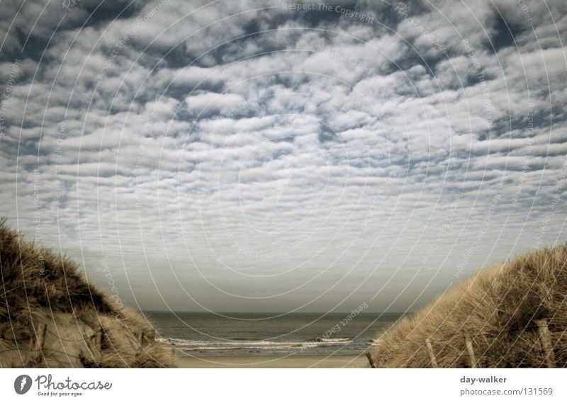 Off through the middle Ocean Lake Grass Clouds Beach Fence Waves Surf Coast Access Sky Water North Sea Beach dune Sand Nature Far-off places Pole Lanes & trails