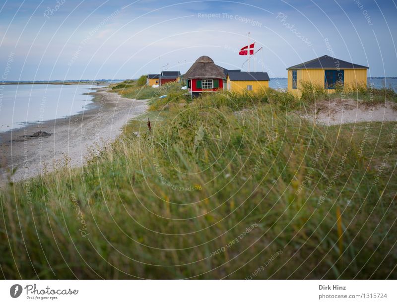 Beach houses in Marstal Well-being Vacation & Travel Tourism Far-off places Freedom Summer Summer vacation Ocean Beautiful weather Grass Bushes Coast Lakeside