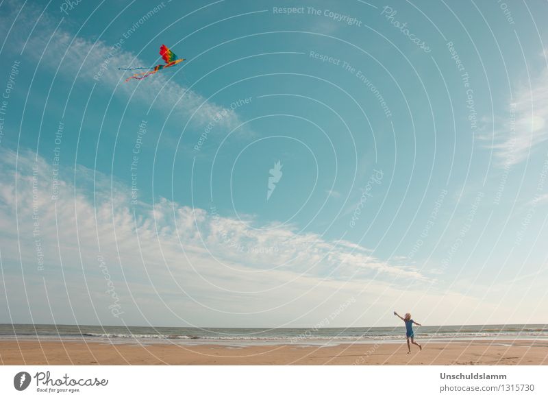 higher, further, free Lifestyle Leisure and hobbies Playing Hang gliding Tourism Summer Beach Ocean Human being Child Infancy Landscape Wind Movement Flying