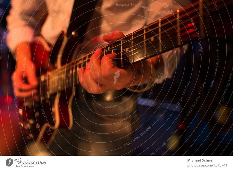 solo Event Music Concert Musician Guitar Musical instrument string Electric guitar Rock music Authentic Natural Emotions Passion Honest Inspiration Moody
