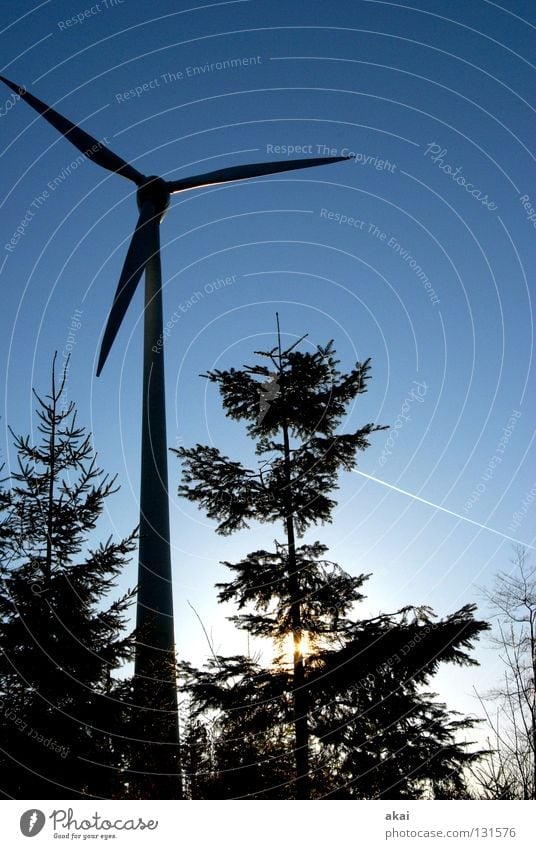 natural power Sky Coniferous trees Forest Sky blue Geometry Deciduous tree Perspective Coniferous forest Glade Paradise Clearing Wind energy plant Electricity
