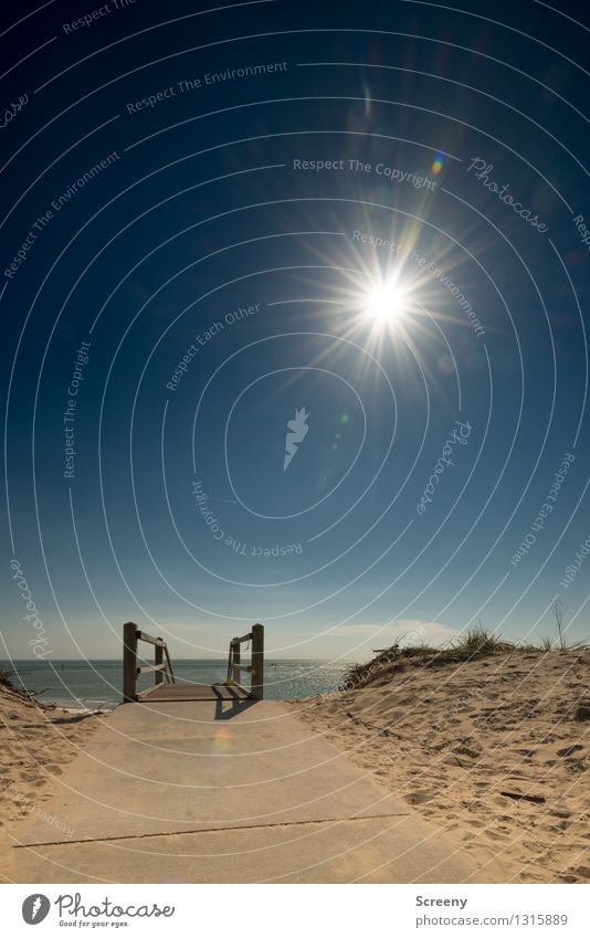 Be right there... Vacation & Travel Tourism Trip Far-off places Summer Summer vacation Sun Beach Ocean Nature Landscape Plant Sand Water Sky Cloudless sky