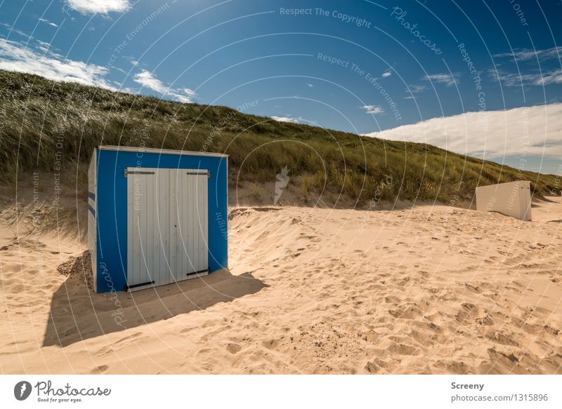 beach box Vacation & Travel Tourism Summer Summer vacation Beach Ocean Nature Landscape Plant Sand Sky Beautiful weather Grass Coast North Sea Dune Marram grass