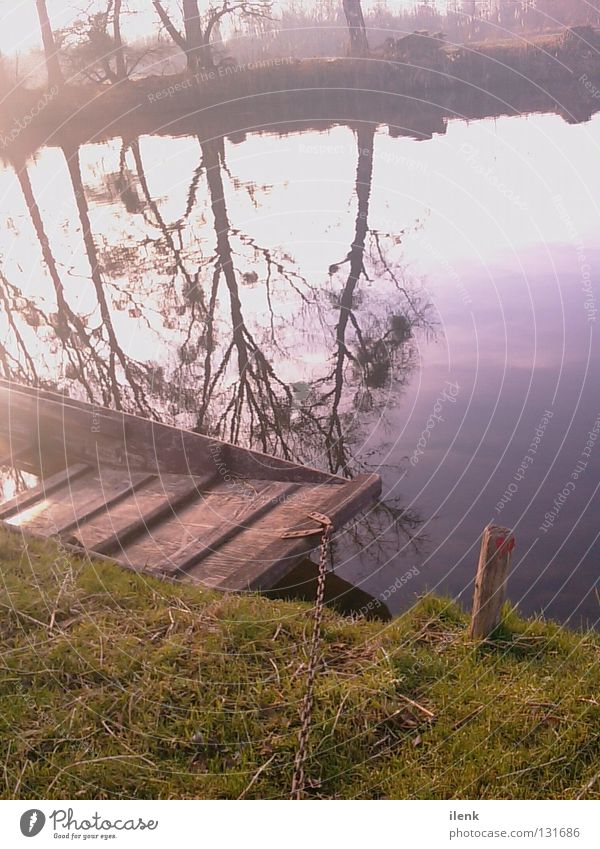 boat Green Meadow Spring March April May Evening sun Tree Forest Waves Reflection Water reflection Clouds messenger Nature Rhine Freiburg im Breisgau carmen