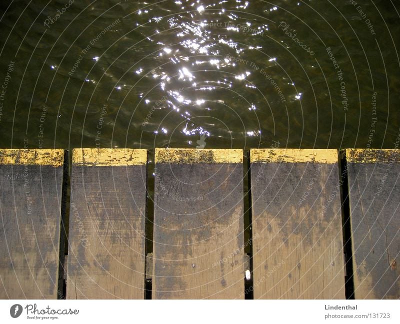 water sparkle Footbridge Glittering Sunbeam Wooden board Water Line border